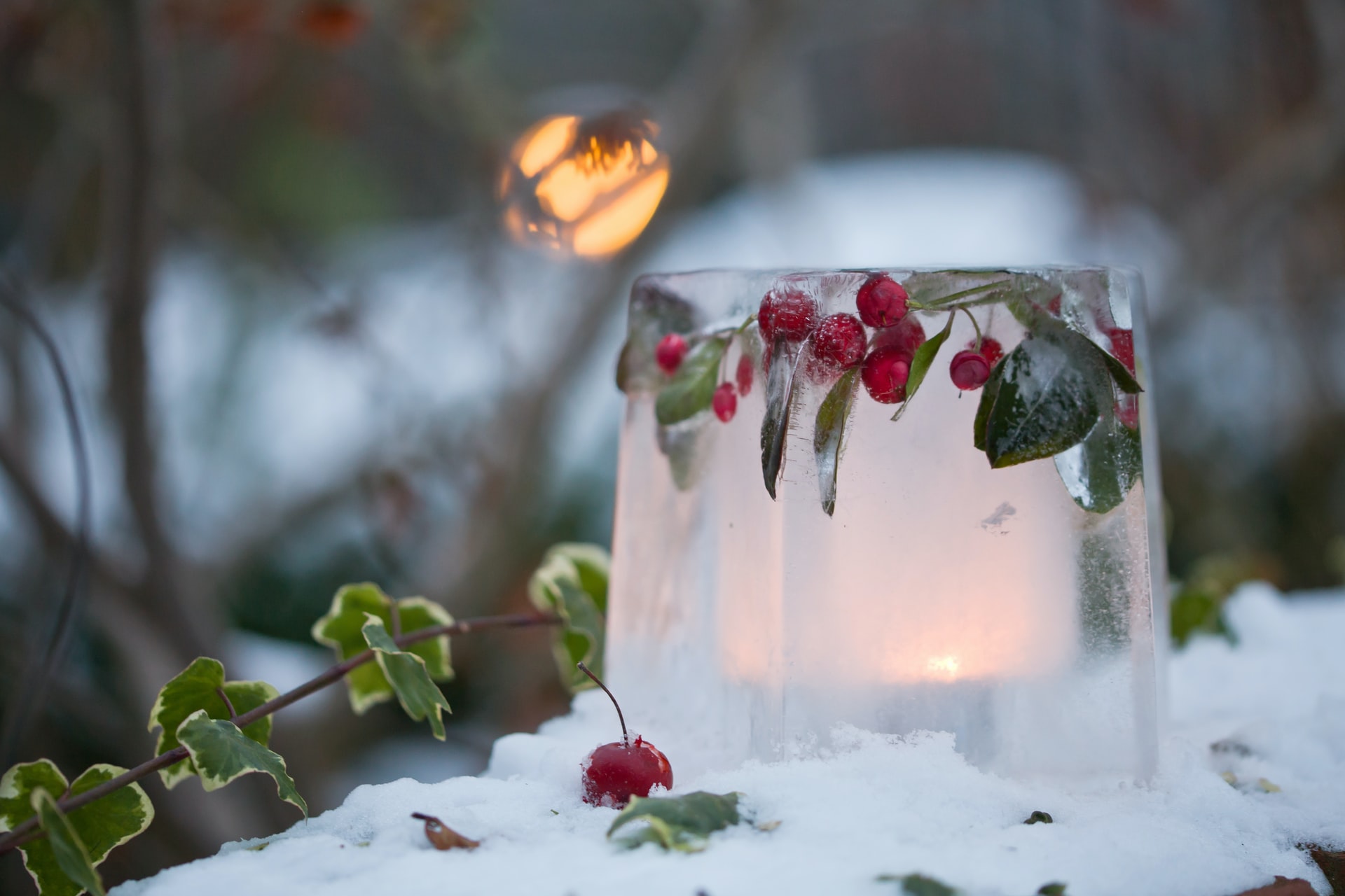 How to Beautify Your Garden During the Winter Season?
